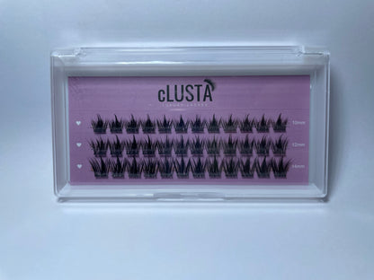 Blossom lash kit